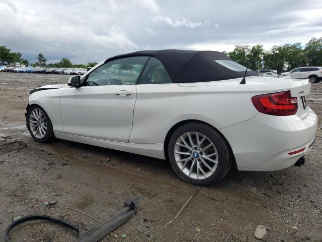 2016 BMW 228 XI SUL WBA1L9C53GV767472