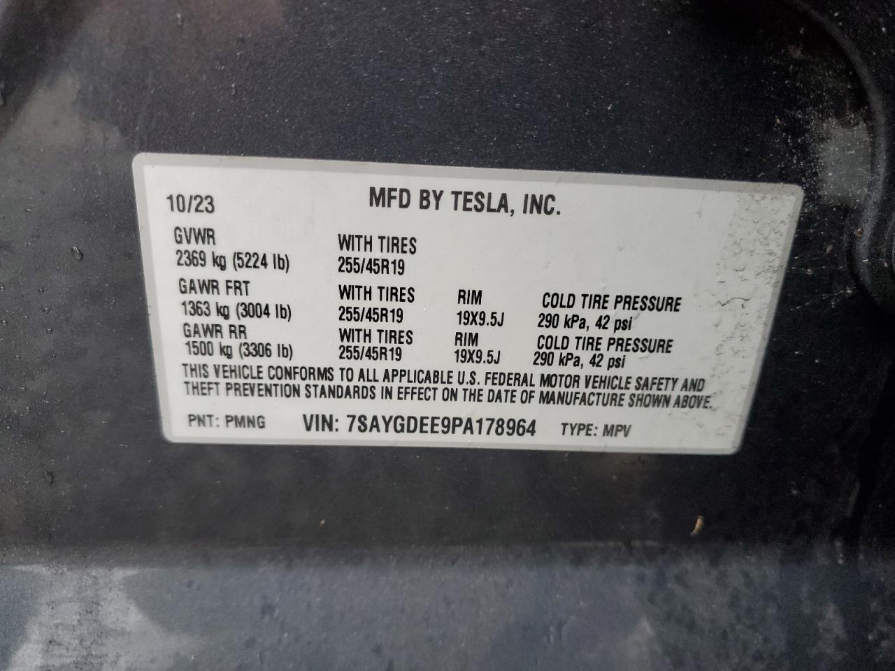 TESLA MODEL Y