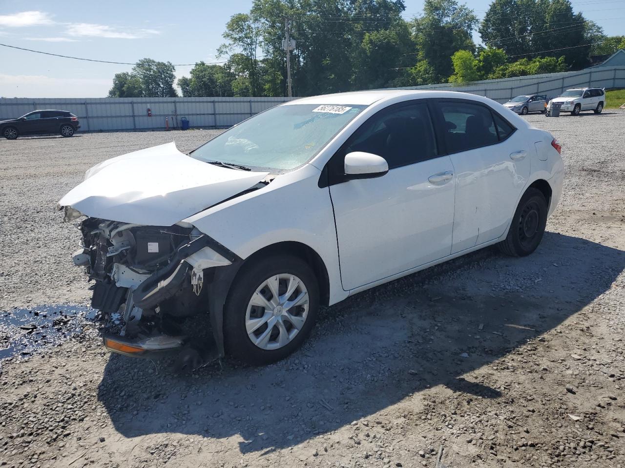 TOYOTA COROLLA L