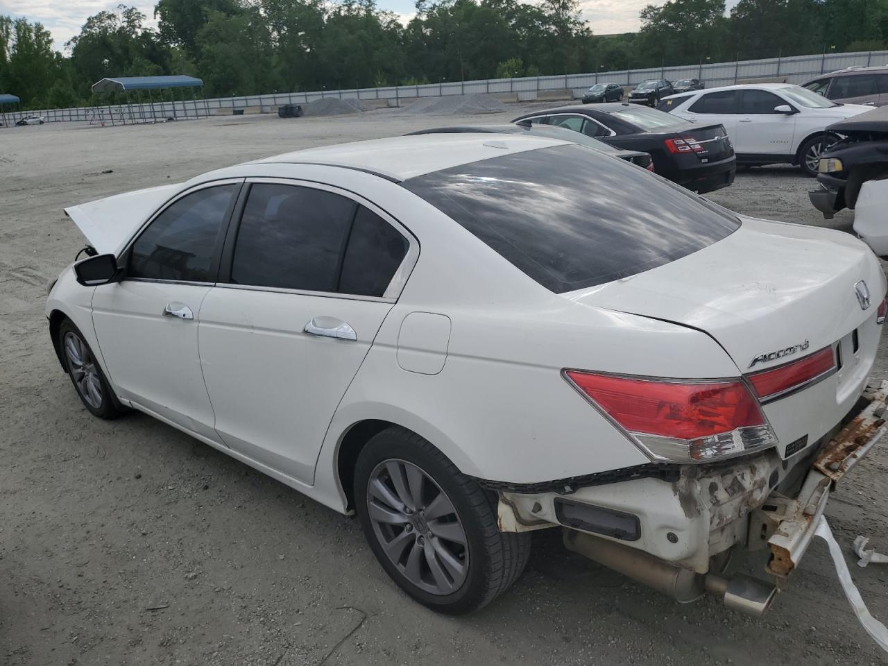 HONDA ACCORD EXL