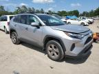 Lot #3293462409 2023 TOYOTA RAV4 XLE