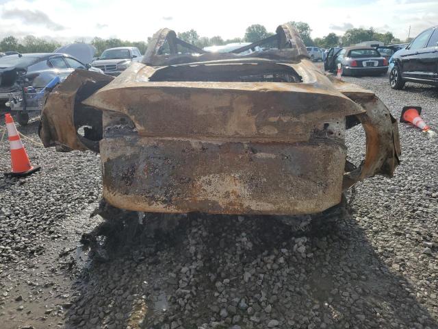 2024 TESLA MODEL Y 7SAYGAEEXRF079784