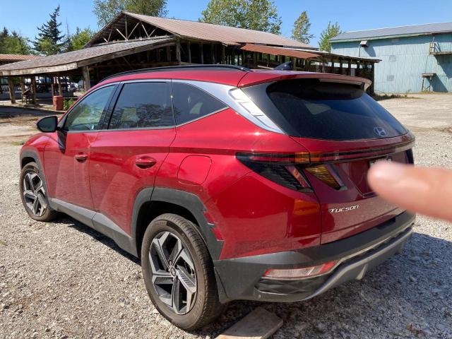 2023 HYUNDAI TUCSON LUX KM8JCCA16PU097062