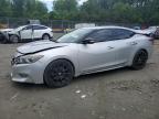 2017 NISSAN MAXIMA 3.5 - 1N4AA6AP3HC394478