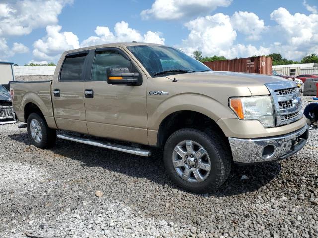 Vin: 1ftew1cm7dkg38281, lot: 55798635, ford f-150 supercrew 20134
