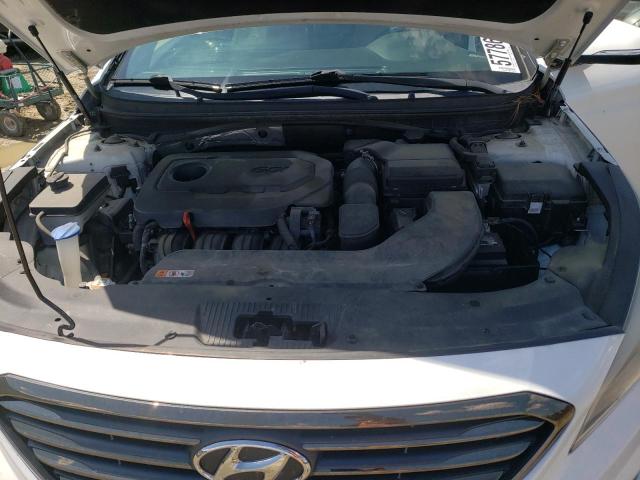 2016 HYUNDAI SONATA SPO - 5NPE34AF4GH412779