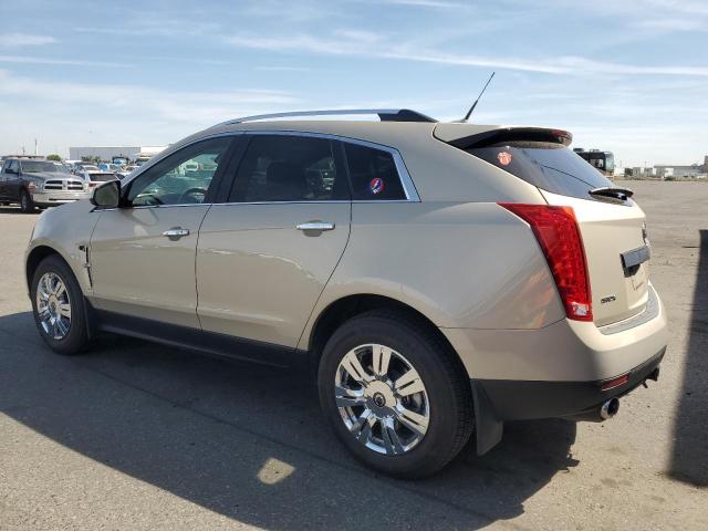 CADILLAC SRX LUXURY 2011 tan  gas 3GYFNAEY5BS550543 photo #3
