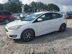 2015 FORD FOCUS SE - 1FADP3K29FL338751