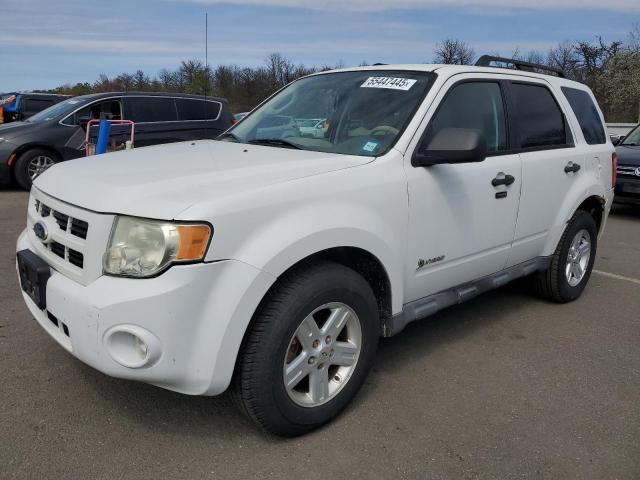 Vin: 1fmcu5k35akc13081, lot: 55447445, ford escape hybrid 2010 img_1