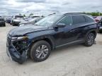 2024 HYUNDAI TUCSON BLU - KM8JBCD1XRU210318