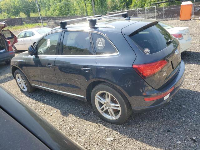 AUDI Q5 PREMIUM 2013 blue 4dr spor flexible fuel WA1LFAFP5DA071355 photo #3