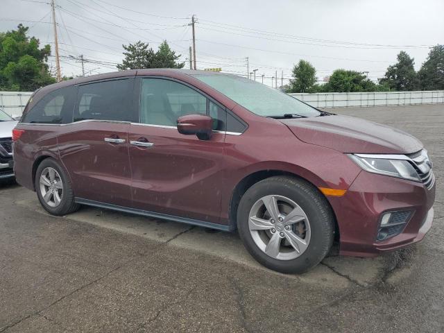Vin: 5fnrl6h70kb129539, lot: 58477675, honda all models exl 20194