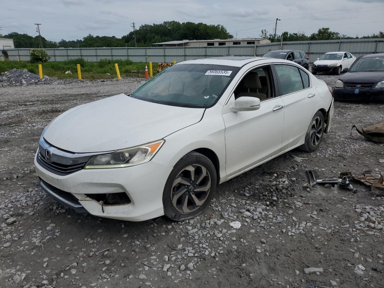 HONDA ACCORD EXL