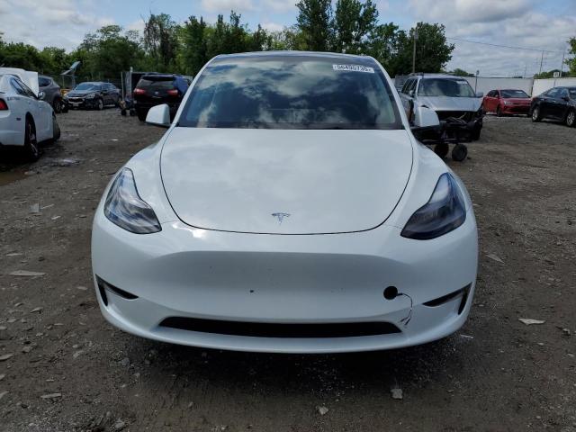 2023 TESLA MODEL Y 7SAYGDEE2PF804244
