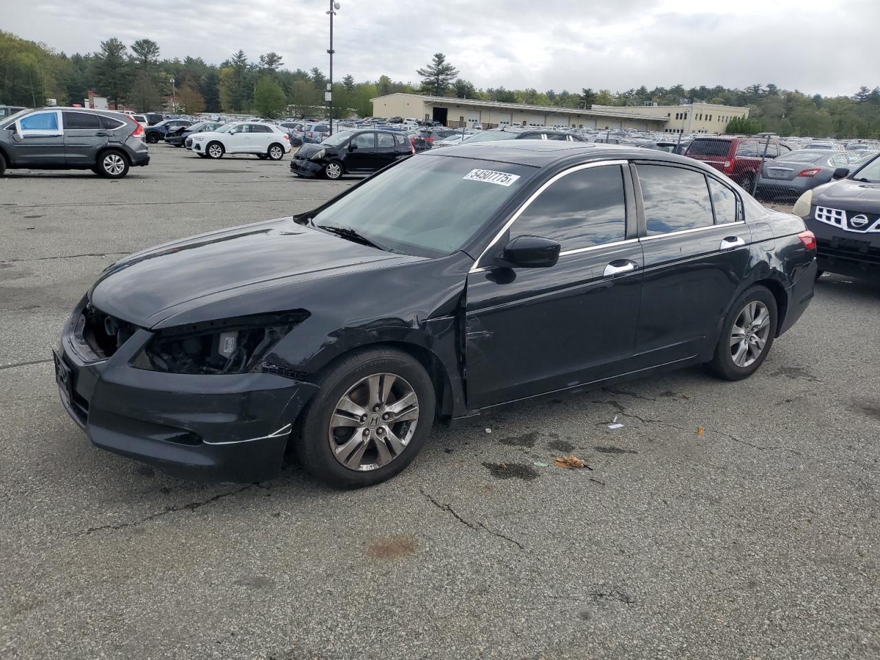 HONDA ACCORD EXL
