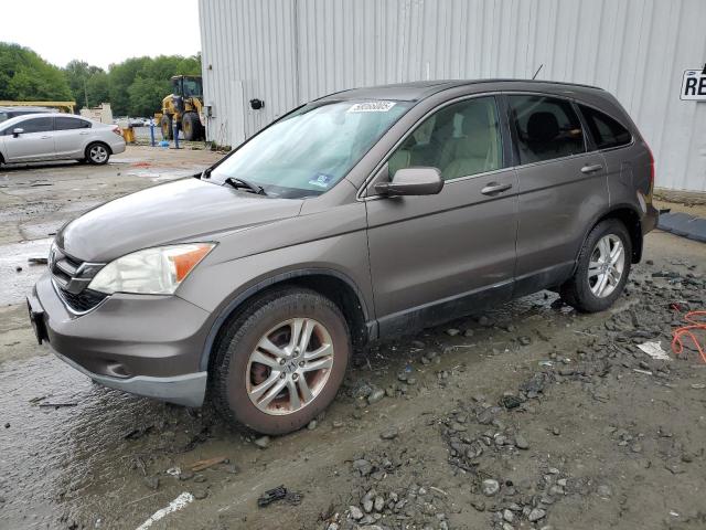 Vin: 5j6re4h79al017438, lot: 58066005, honda crv exl 2010 img_1