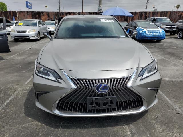 2021 LEXUS ES 300H 58ADA1C16MU001262