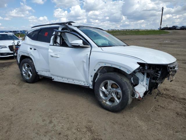 Vin: km8jccde0ru313599, lot: 57690975, hyundai tucson sel 20244
