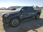 2024 TOYOTA TACOMA DOU - 3TYLC5LN9RT011313