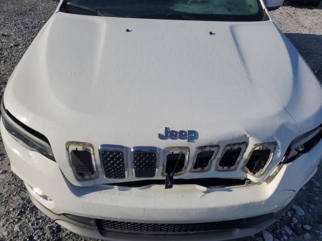 2019 JEEP CHEROKEE L - 1C4PJLDB4KD347822