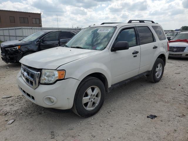 Vin: 1fmcu0dg5akd42831, lot: 56530195, ford escape xlt 2010 img_1