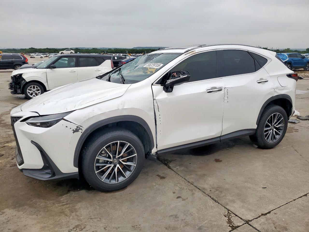 LEXUS NX 250 PREMIUM