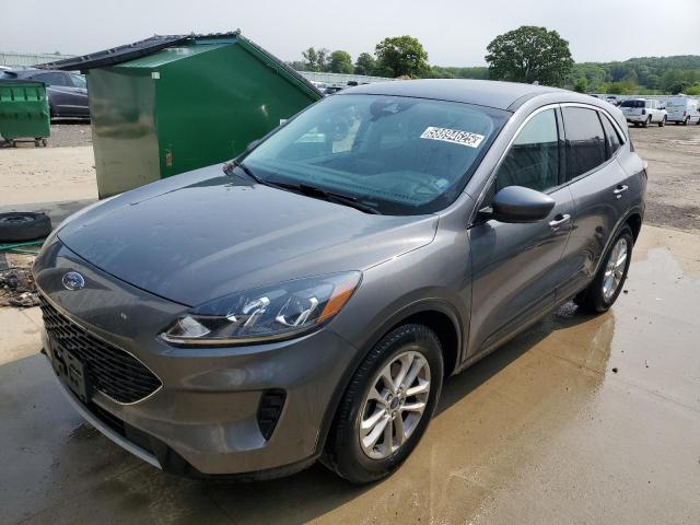 Vin: 1fmcu0g66mua68843, lot: 58894625, ford escape se 2021 img_1