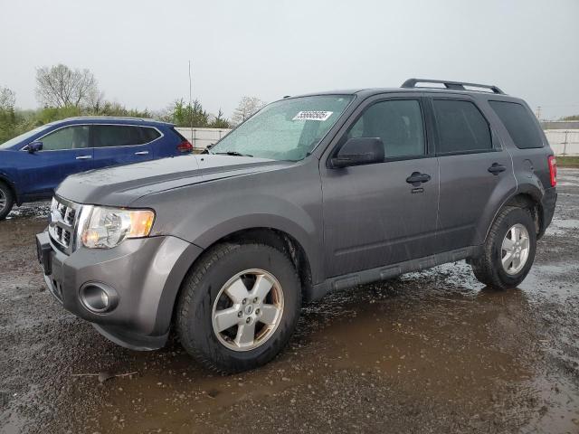 Vin: 1fmcu0d79bkc03108, lot: 55660505, ford escape xlt 2011 img_1