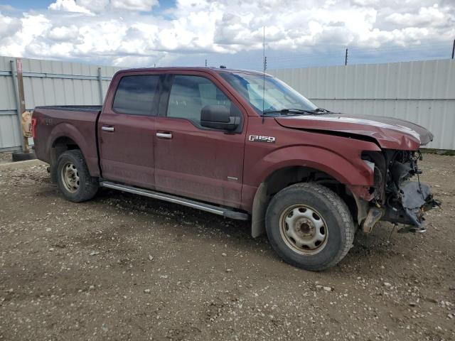 Vin: 1ftew1eg6gkf28706, lot: 58338345, ford f-150 supercrew 20164