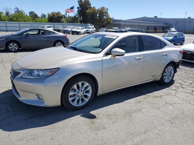 Vin: jthbw1gg1d2011128, lot: 58246565, lexus es300 300h 2013 img_1