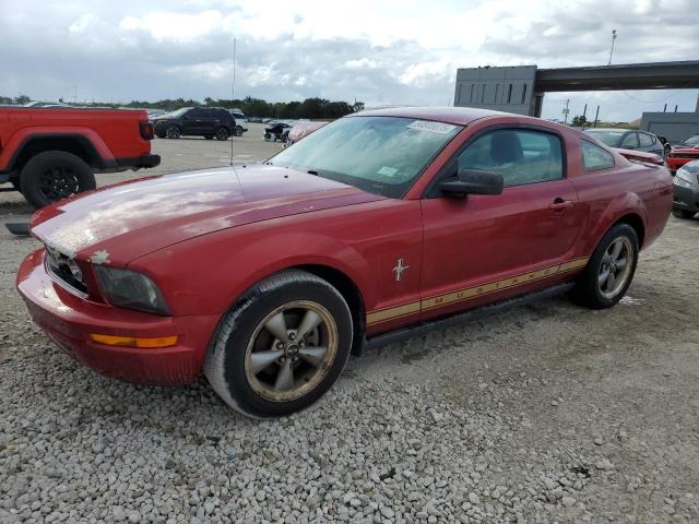 FORD MUSTANG 2006 red  gas 1ZVFT80N065258510 photo #1