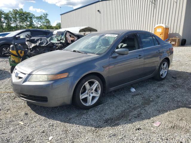 ACURA 3.2TL 2006 gray  gas 19UUA662X6A018861 photo #1