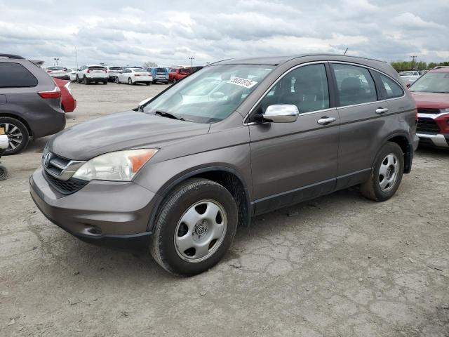 Vin: 5j6re4h34al048979, lot: 55351915, honda crv lx 2010 img_1