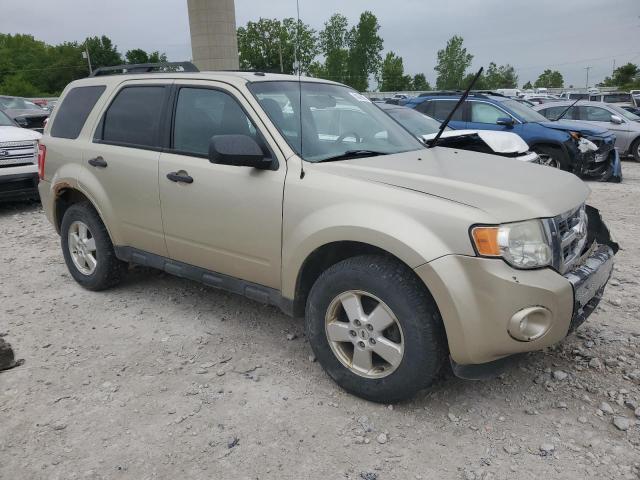 Vin: 1fmcu9dg7bka80641, lot: 58376695, ford escape xlt 20114