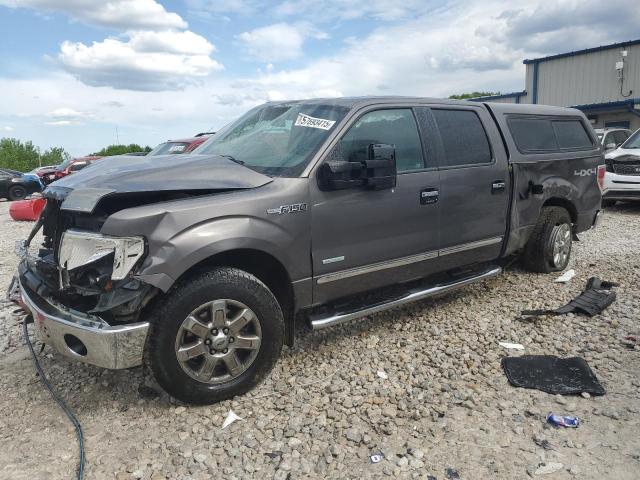 Vin: 1ftfw1et8dkd05483, lot: 57693415, ford f-150 supercrew 2013 img_1