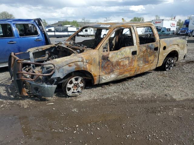 Vin: 1ftfw1ef0efd11265, lot: 56594265, ford f-150 supercrew 2014 img_1