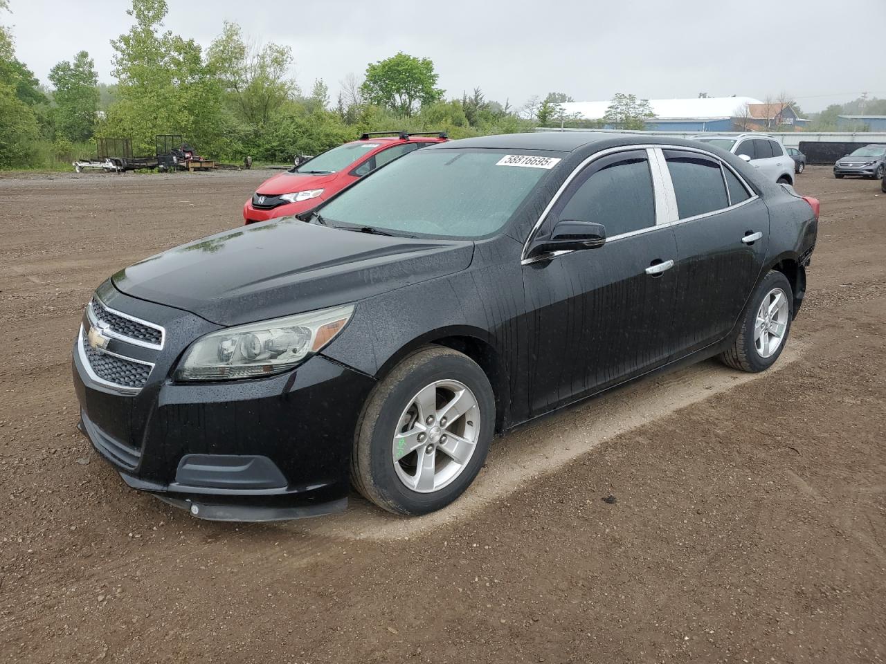 CHEVROLET MALIBU 1LT