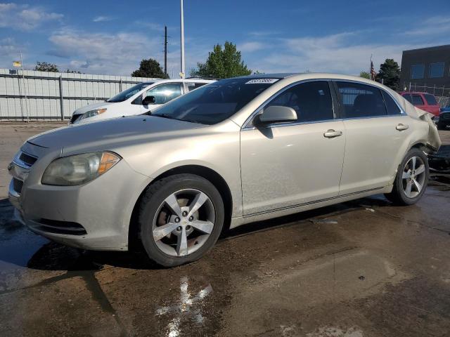 Vin: 1g1zc5e14bf287963, lot: 55813885, chevrolet malibu 1lt 2011 img_1