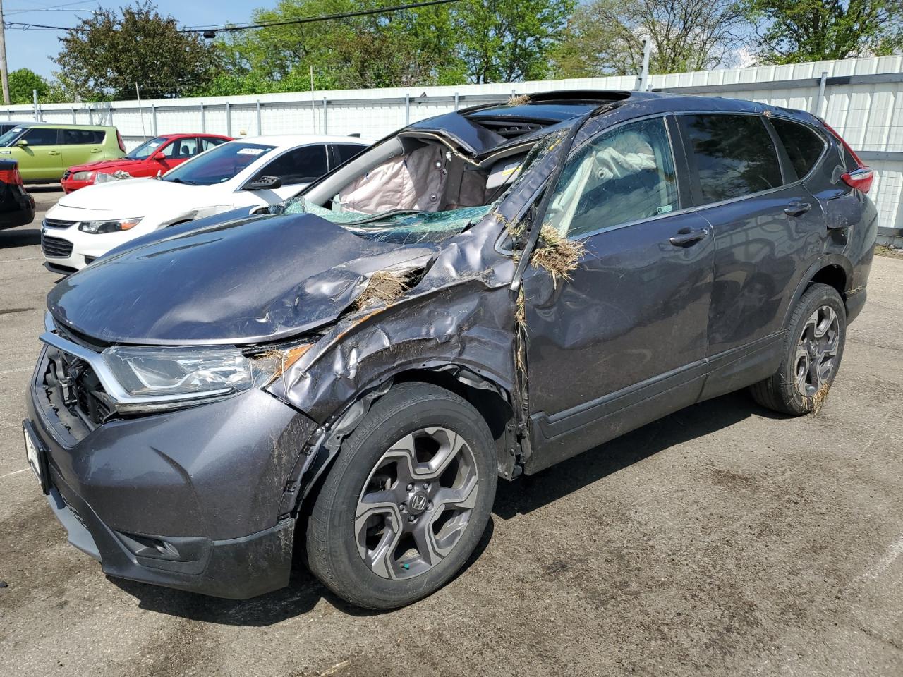 HONDA CR-V EX