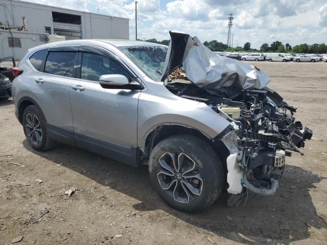Vin: 5j6rw2h86la019611, lot: 55506225, honda crv exl 20204