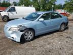 Top Destinations for Shipping Cars from the USA