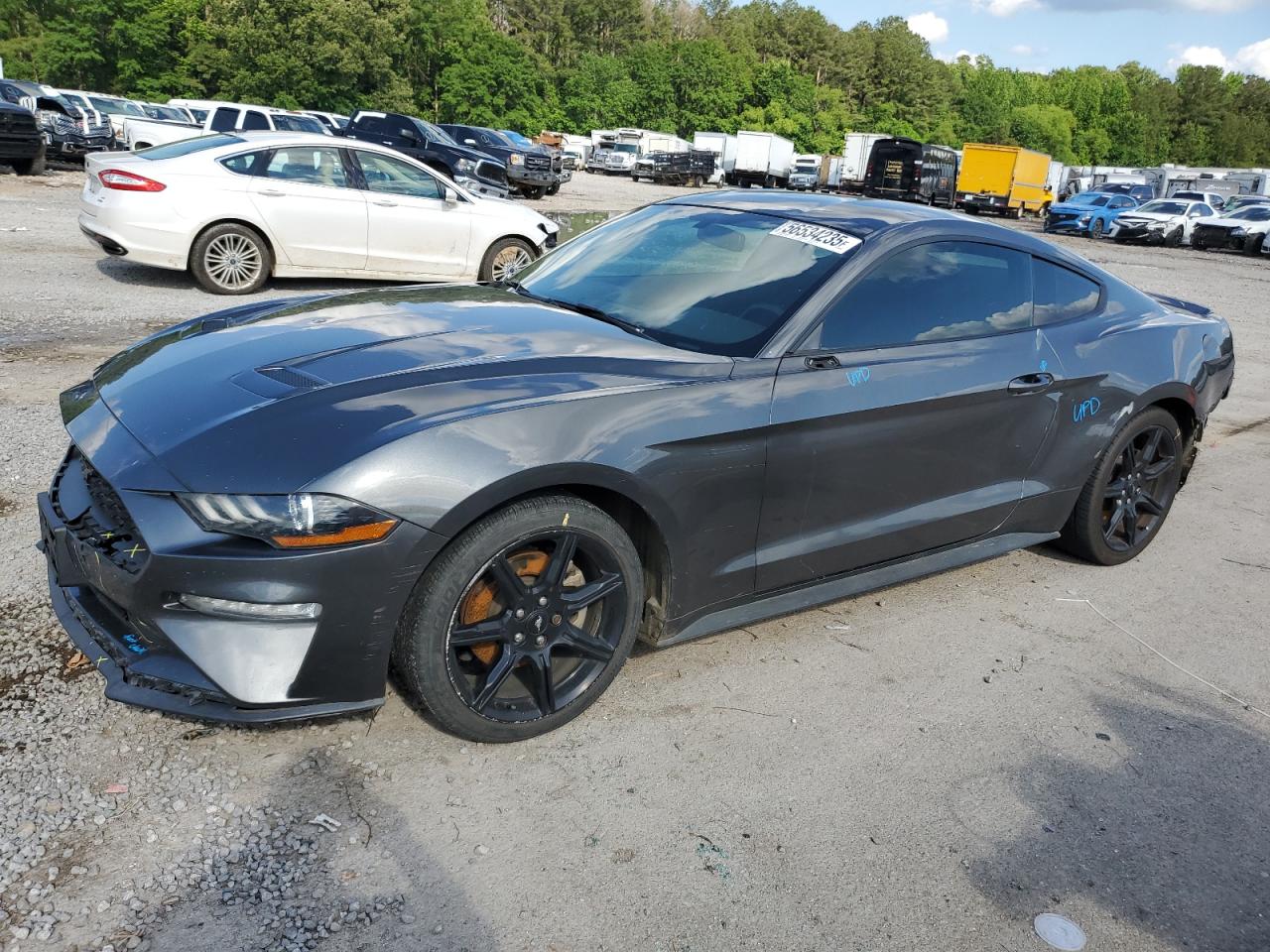 FORD MUSTANG
