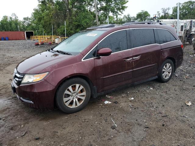 Vin: 5fnrl5h64eb008339, lot: 58791655, honda all models exl 2014 img_1