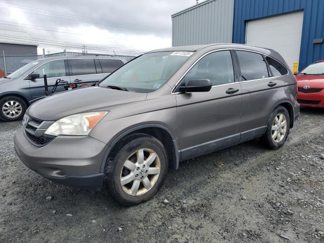 Vin: 5j6re4h37al800447, lot: 58172425, honda crv lx 2010 img_1