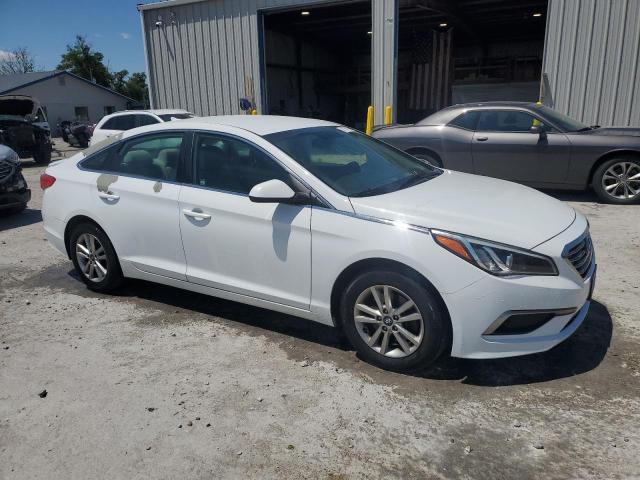 Vin: 5npe24af8gh384214, lot: 57954155, hyundai sonata se 20164