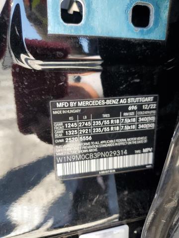 2023 MERCEDES-BENZ EQB 250+ W1N9M0CB3PN029314