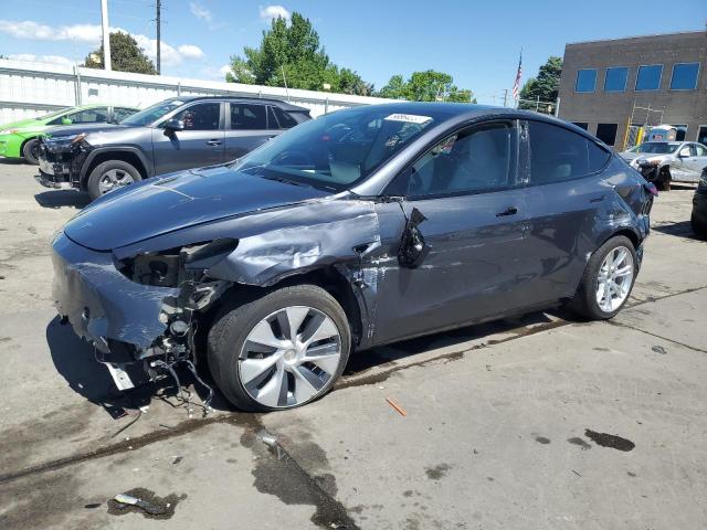2023 TESLA MODEL Y #3196393530