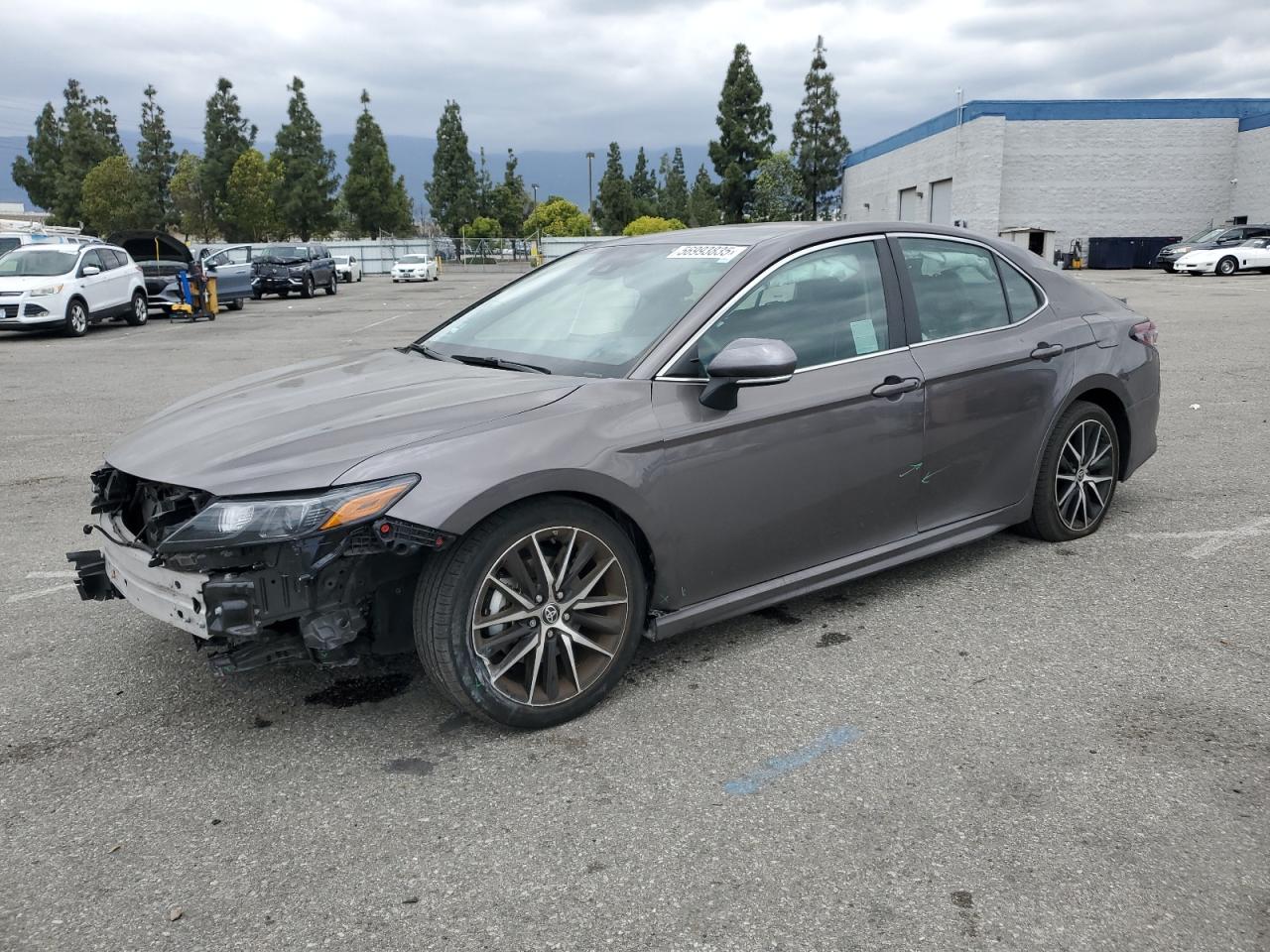 TOYOTA CAMRY SE NIGHT SHADE