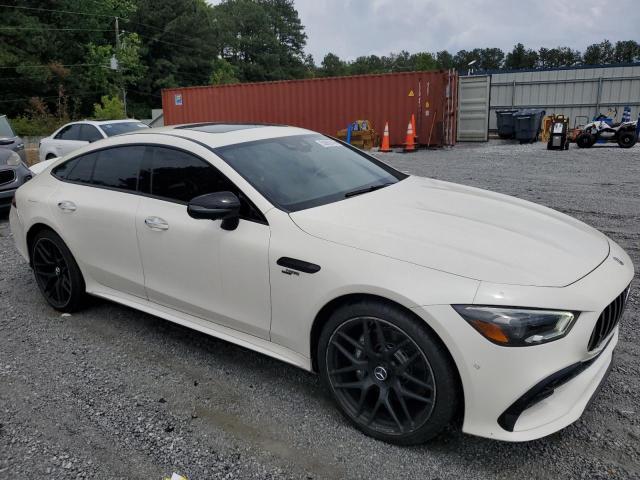 2019 MERCEDES-BENZ AMG GT 53 WDD7X6BB1KA008168