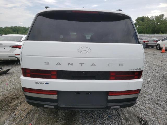 2025 HYUNDAI SANTA FE L 5NMP3DG18SH031687